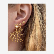 MINI SEA STAR EARSTICKERS